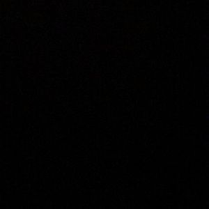 Meet your Posher, Jerry